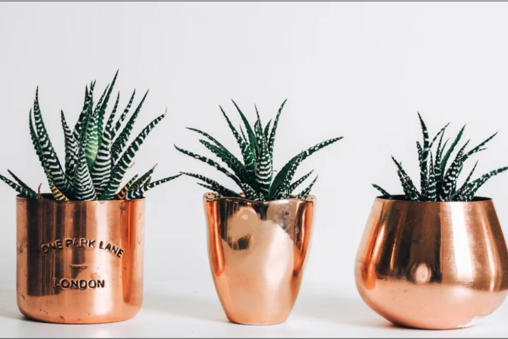 Blog20Listing20Images2028229