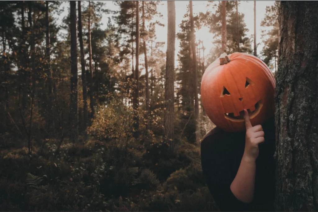 Blog20Listing20Images2028129-3