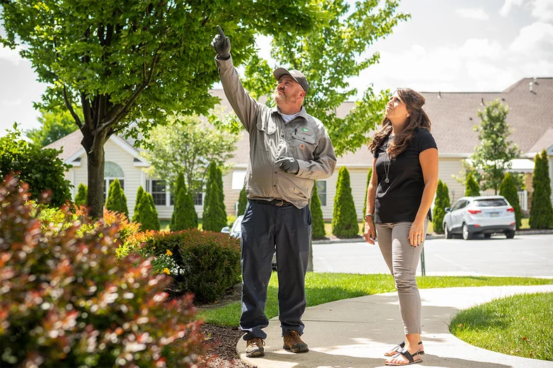 Joshua-Tree-Gallery-CA-Image_4