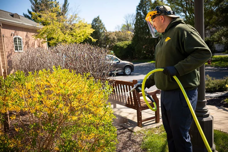 Joshua-Tree-Gallery-CA-Image_5