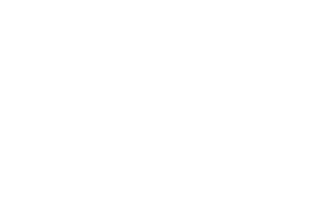 NARI_Austin_Logo_REV