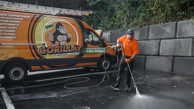 Gorilla-Webinar_Carousel-Image_6